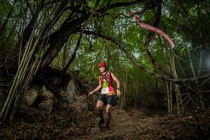 BIB: 
                            <button type="button" onclick="openModal(22177802)" class="btn btn-primary btn-sm float-right btn-popup" data-toggle="modal" data-target=".modal-high-quality">
                        <i class="fas fa-shopping-cart"></i> Add to Cart
                    </button>
                                            <button type="button" onclick="isThisMe(22177802, true)" class="btn btn-success btn-sm float-right btn-popup btn-isme hidden" data-toggle="tooltip" data-placement="bottom" title="นี่คือรูปของคุณใช่ไหม คลิกที่นี่เพื่อเอาเข้าอัลบั้ม">
                        <i class="fas fa-plus"></i> Add to album
                    </button>
                    <button type="button" onclick="isThisMe(22177802, false)" class="btn btn-warning btn-sm float-right btn-popup btn-isnotme hidden">
                        <i class="fas fa-ban"></i> Remove from album
                    </button>